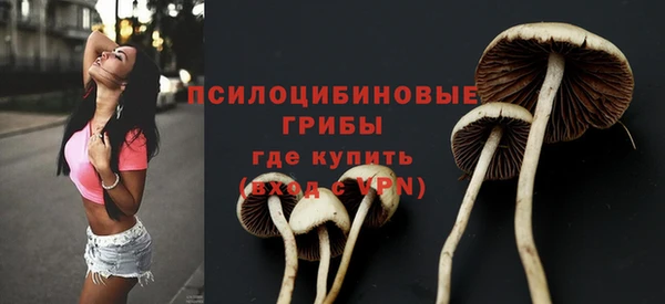 ПСИЛОЦИБИНОВЫЕ ГРИБЫ Михайловка