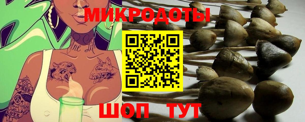 Зерноград  Псилоцибиновые грибы GOLDEN TEACHER  как найти   Вход с VPN 